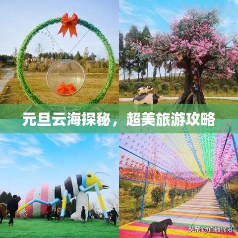 元旦云海探秘，超美旅游攻略