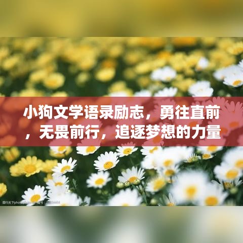 小狗文学语录励志，勇往直前，无畏前行，追逐梦想的力量源泉！