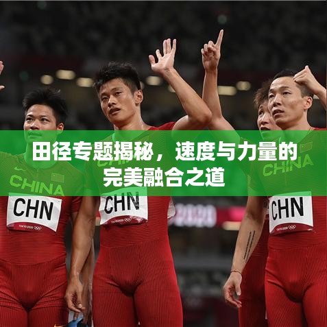 田径专题揭秘，速度与力量的完美融合之道