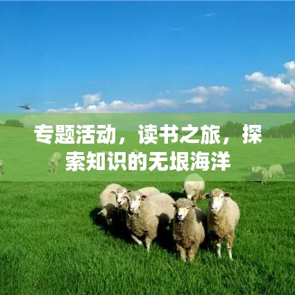 专题活动，读书之旅，探索知识的无垠海洋