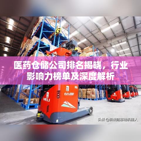 医药仓储公司排名揭晓，行业影响力榜单及深度解析