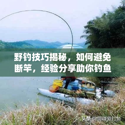 野钓技巧揭秘，如何避免断竿，经验分享助你钓鱼无忧