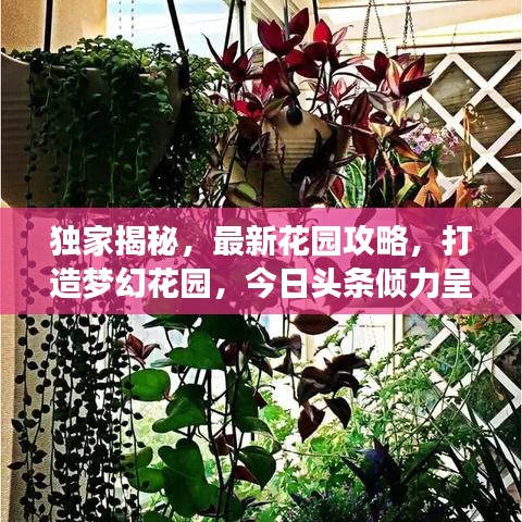 独家揭秘，最新花园攻略，打造梦幻花园，今日头条倾力呈现！
