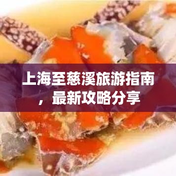 上海至慈溪旅游指南，最新攻略分享