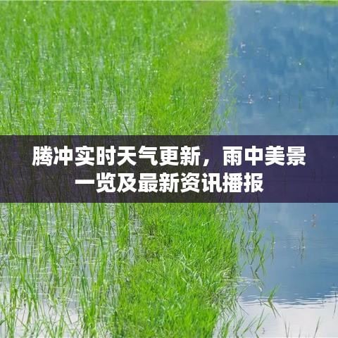 腾冲实时天气更新，雨中美景一览及最新资讯播报