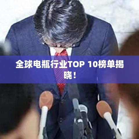 全球电瓶行业TOP 10榜单揭晓！
