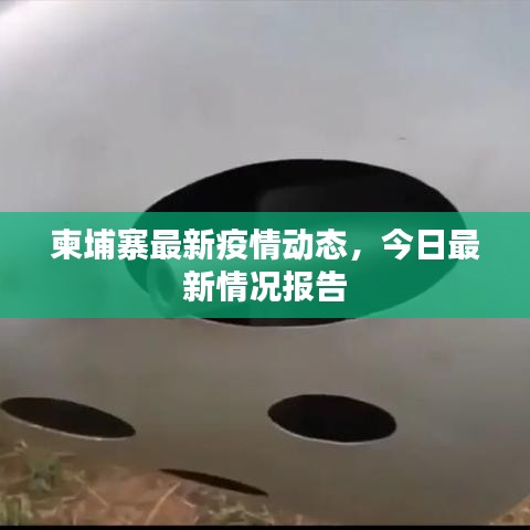 柬埔寨最新疫情动态，今日最新情况报告