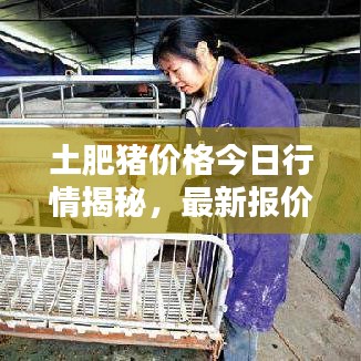 土肥猪价格今日行情揭秘，最新报价一网打尽！
