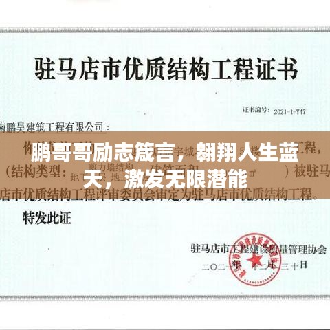 鹏哥哥励志箴言，翱翔人生蓝天，激发无限潜能