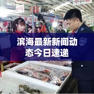 滨海最新新闻动态今日速递