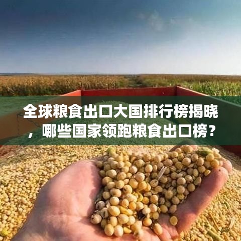 全球粮食出口大国排行榜揭晓，哪些国家领跑粮食出口榜？
