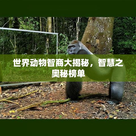 张王李赵 第2页
