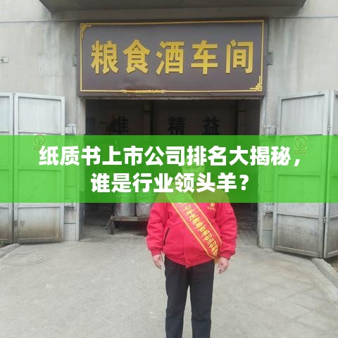 纸质书上市公司排名大揭秘，谁是行业领头羊？