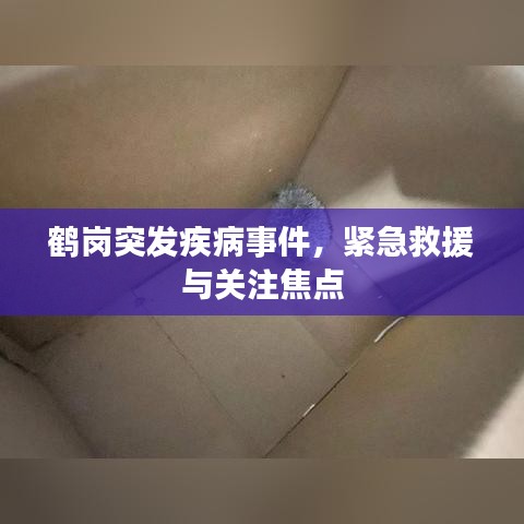 鹤岗突发疾病事件，紧急救援与关注焦点