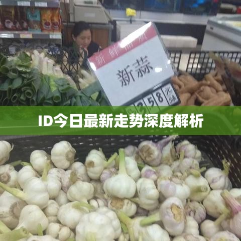ID今日最新走势深度解析