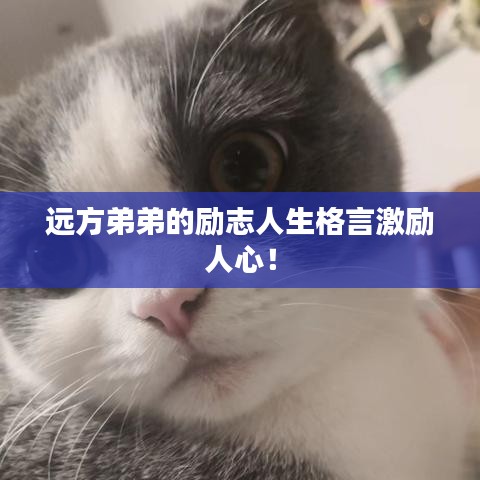 远方弟弟的励志人生格言激励人心！