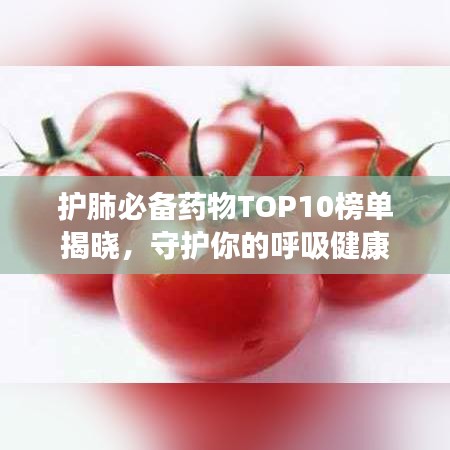 护肺必备药物TOP10榜单揭晓，守护你的呼吸健康