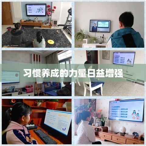 习惯养成的力量日益增强