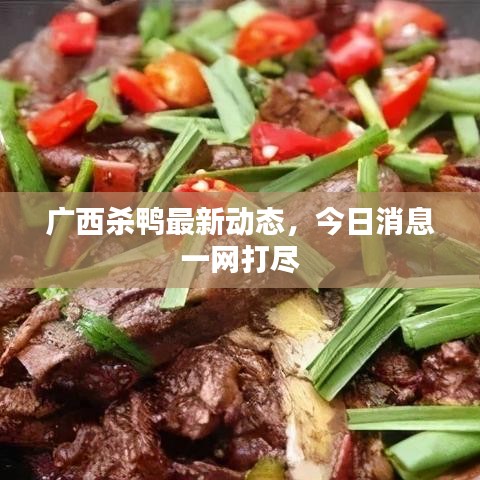 广西杀鸭最新动态，今日消息一网打尽