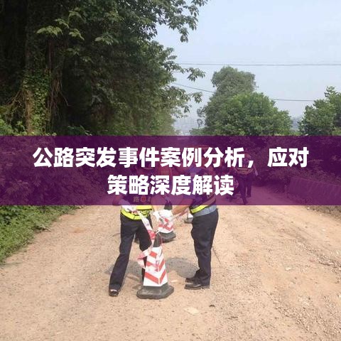 公路突发事件案例分析，应对策略深度解读