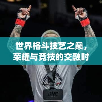世界格斗技艺之巅，荣耀与竞技的交融时刻