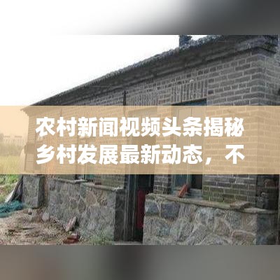 农村新闻视频头条揭秘乡村发展最新动态，不容错过！