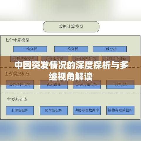 中国突发情况的深度探析与多维视角解读