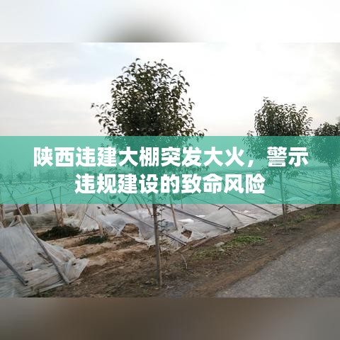 陕西违建大棚突发大火，警示违规建设的致命风险