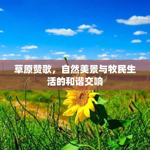 草原赞歌，自然美景与牧民生活的和谐交响
