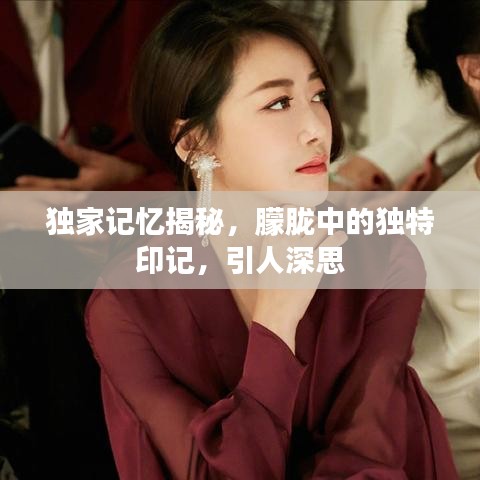 独家记忆揭秘，朦胧中的独特印记，引人深思