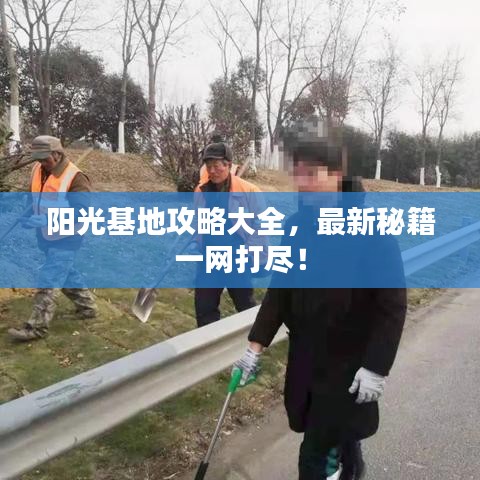 阳光基地攻略大全，最新秘籍一网打尽！