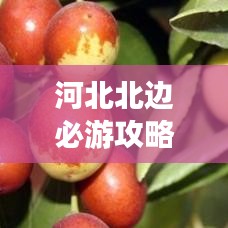 河北北边必游攻略，探秘魅力无穷的旅游胜地！