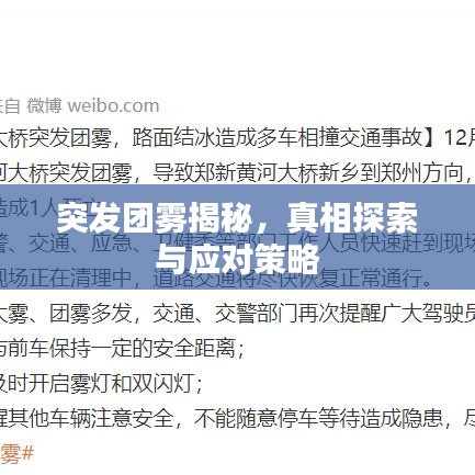 突发团雾揭秘，真相探索与应对策略