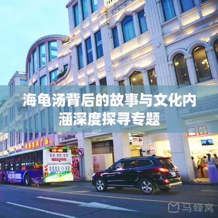 海龟汤背后的故事与文化内涵深度探寻专题