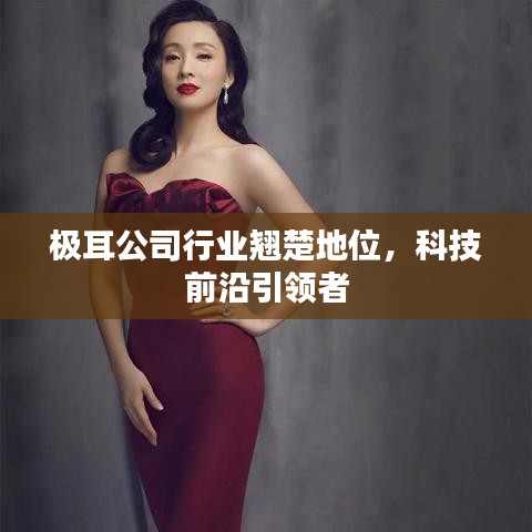 极耳公司行业翘楚地位，科技前沿引领者