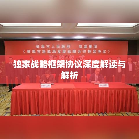 独家战略框架协议深度解读与解析