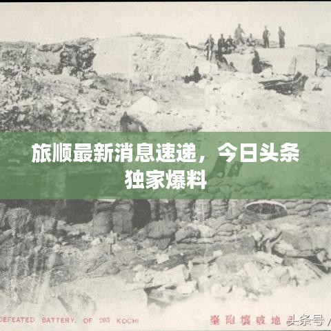 旅顺最新消息速递，今日头条独家爆料