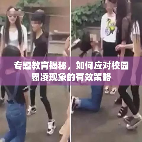 专题教育揭秘，如何应对校园霸凌现象的有效策略
