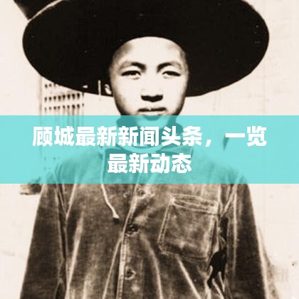 顾城最新新闻头条，一览最新动态