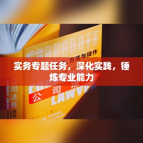 实务专题任务，深化实践，锤炼专业能力