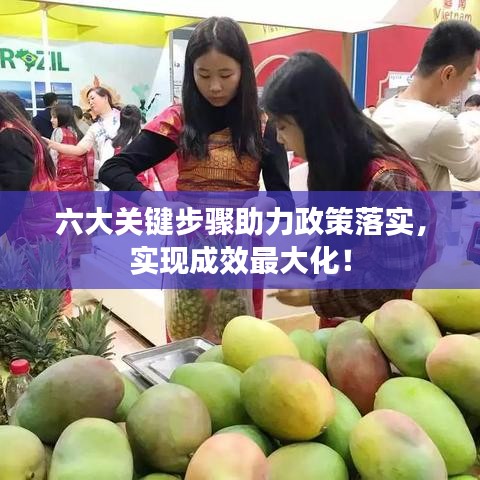 六大关键步骤助力政策落实，实现成效最大化！