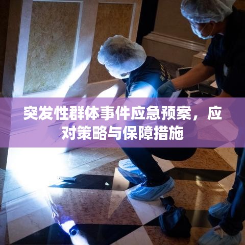 突发性群体事件应急预案，应对策略与保障措施