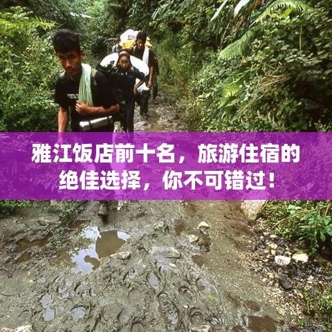雅江饭店前十名，旅游住宿的绝佳选择，你不可错过！