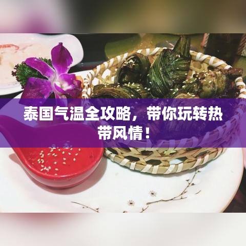 泰国气温全攻略，带你玩转热带风情！