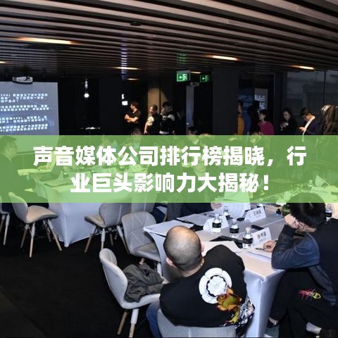 声音媒体公司排行榜揭晓，行业巨头影响力大揭秘！