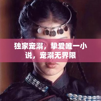 独家宠溺，挚爱唯一小说，宠溺无界限