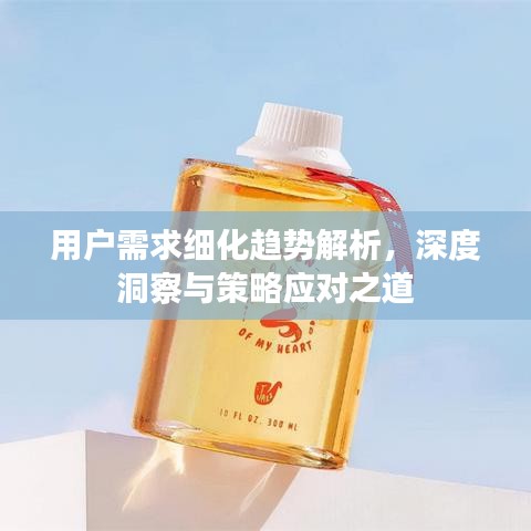 用户需求细化趋势解析，深度洞察与策略应对之道
