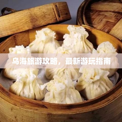 乌海旅游攻略，最新游玩指南