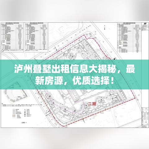 轻飞曼舞