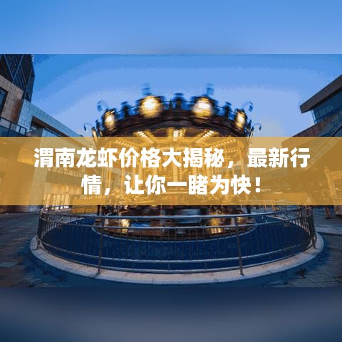 渭南龙虾价格大揭秘，最新行情，让你一睹为快！